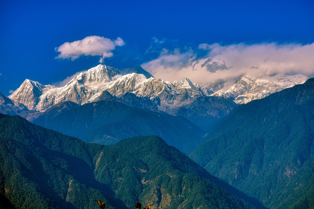 Is Which is Sikkim Casino License Legal in India? Complete 2026 Guide